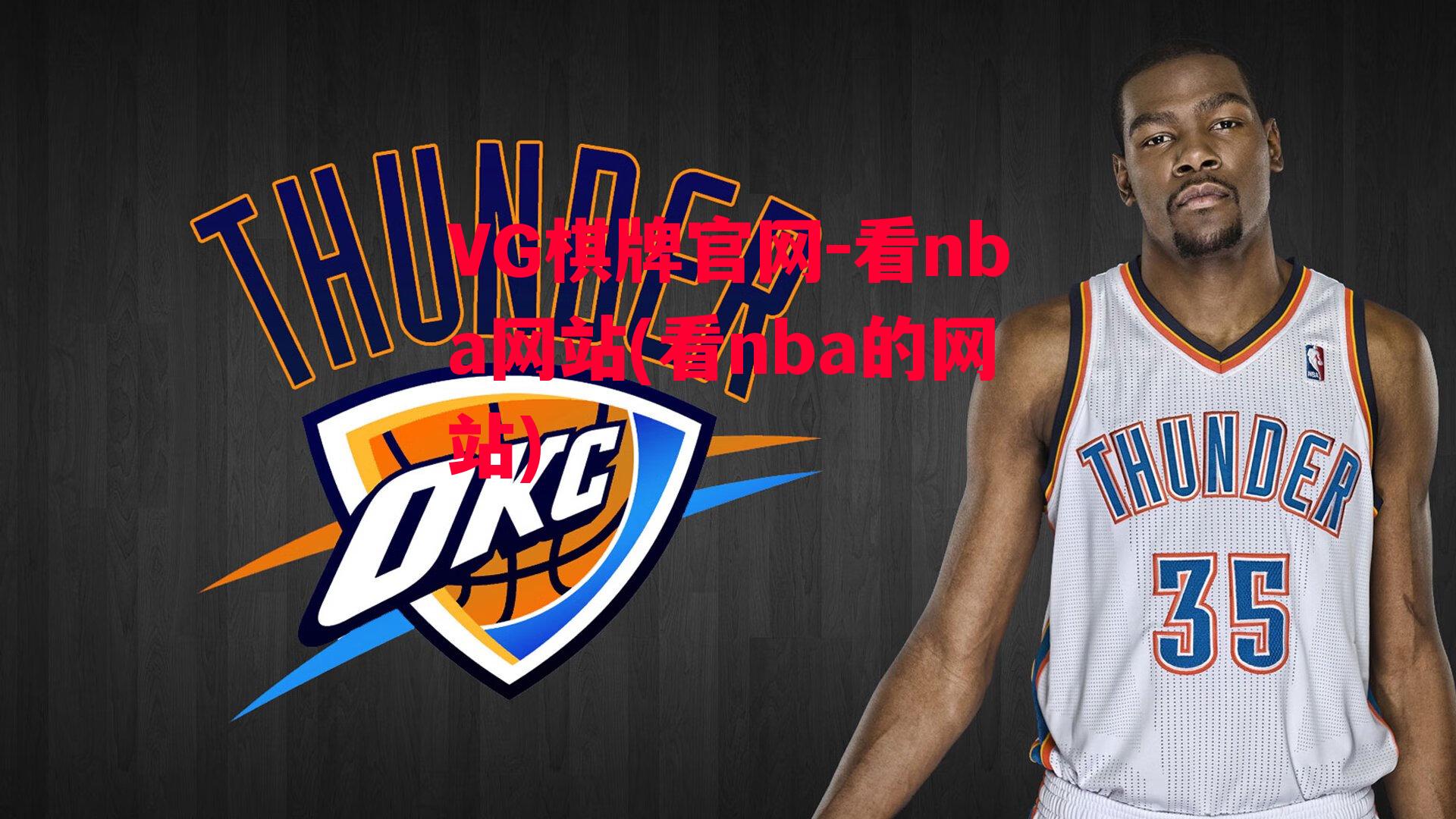 看nba网站(看nba的网站)