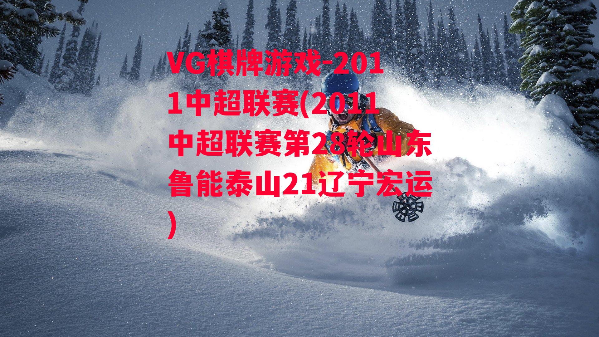 2011中超联赛(2011中超联赛第28轮山东鲁能泰山21辽宁宏运)